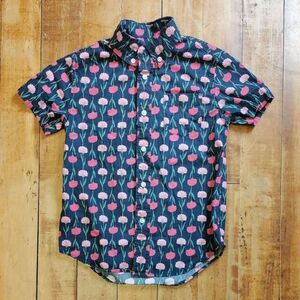 Crewcuts Button Down Shirt size 6 to 7 Blue Pink Unisex Cotton Picture Day